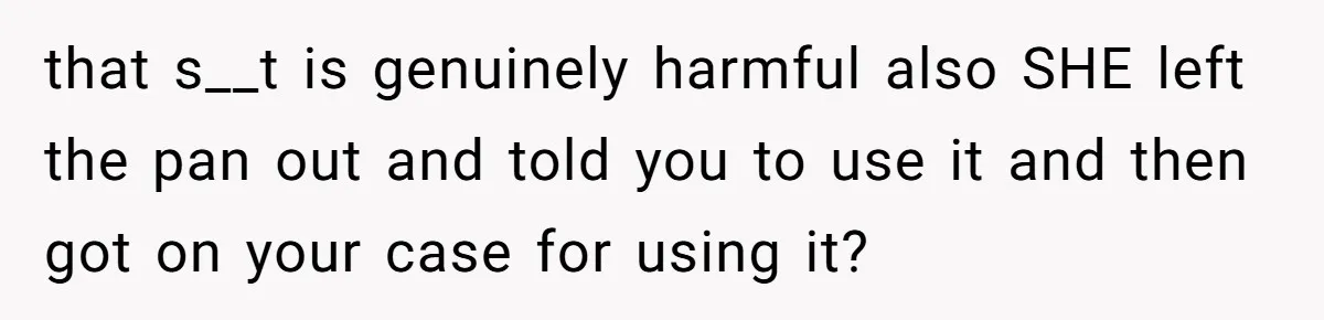 that s__t is genuinely harmful also SHE left the pan out and told you to use it and then got on your case for using it?