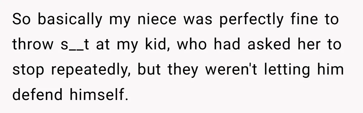 So basically my niece was perfectly fine to throw s__t at my kid, who had asked her to stop repeatedly, but they weren't letting him defend himself.