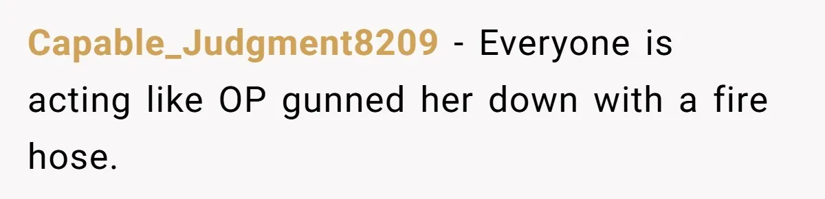 Capable_Judgment8209 − Everyone is acting like OP gunned her down with a fire hose.