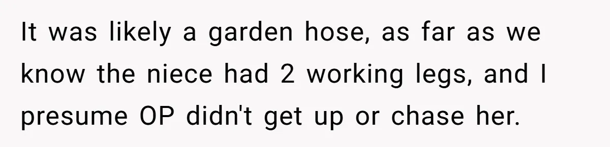It was likely a garden hose, as far as we know the niece had 2 working legs, and I presume OP didn't get up or chase her.