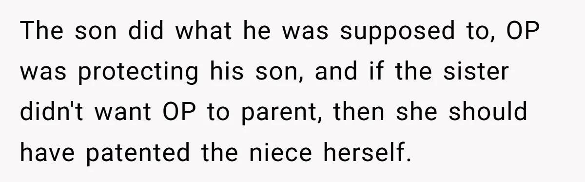 The son did what he was supposed to, OP was protecting his son, and if the sister didn't want OP to parent, then she should have patented the niece herself.