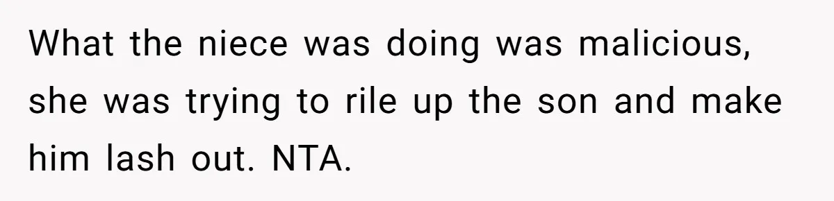 What the niece was doing was malicious, she was trying to rile up the son and make him lash out. NTA.