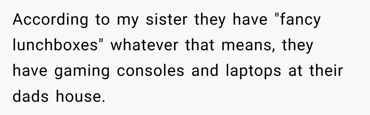 According to my sister they have "fancy lunchboxes" whatever that means, they have gaming consoles and laptops at their dads house.