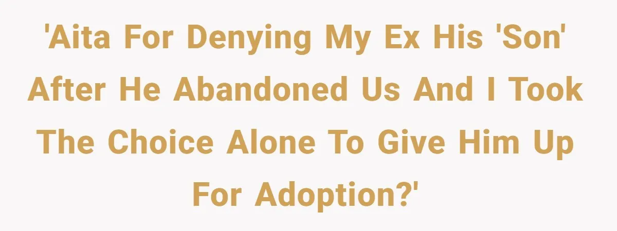 'AITA for denying my ex his 'son' after he abandoned us and I took the choice alone to give him up for adoption?'