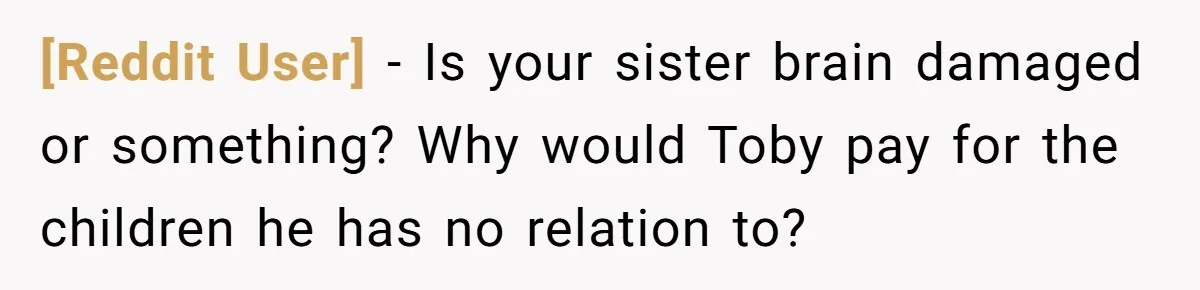 [Reddit User] − Is your sister brain damaged or something? Why would Toby pay for the children he has no relation to?