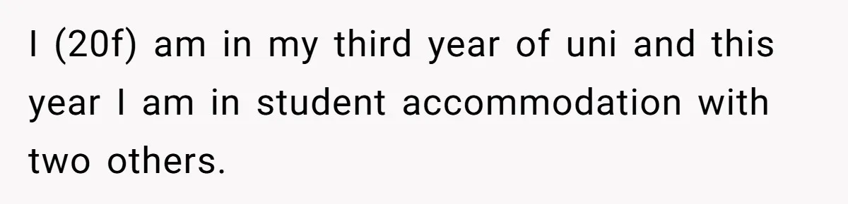 I (20f) am in my third year of uni and this year I am in student accommodation with two others.