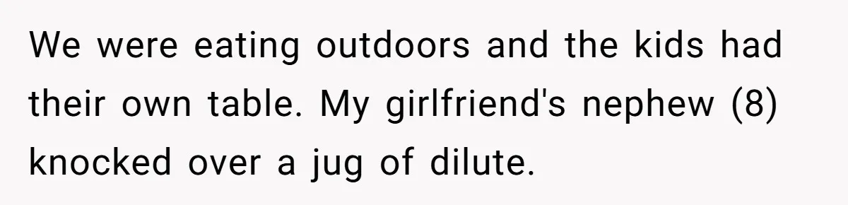 We were eating outdoors and the kids had their own table. My girlfriend's nephew (8) knocked over a jug of dilute.