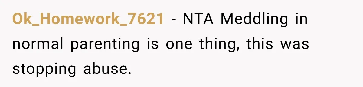 Ok_Homework_7621 − NTA Meddling in normal parenting is one thing, this was stopping abuse.