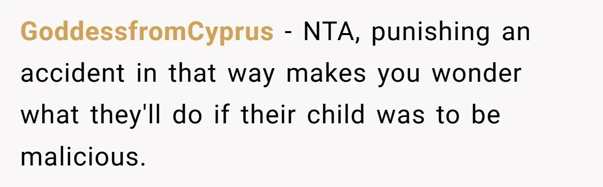 GoddessfromCyprus − NTA, punishing an accident in that way makes you wonder what they'll do if their child was to be malicious.