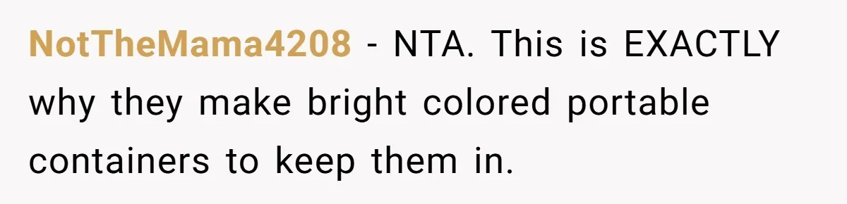 NotTheMama4208 − NTA. This is EXACTLY why they make bright colored portable containers to keep them in.