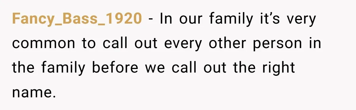 Fancy_Bass_1920 − In our family it’s very common to call out every other person in the family before we call out the right name.