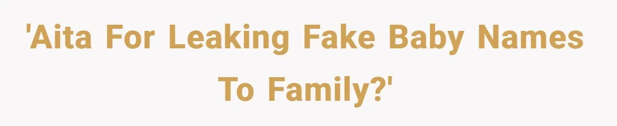 'AITA for leaking fake baby names to family?'