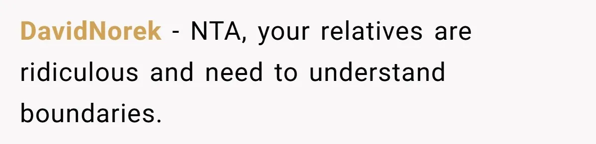 DavidNorek − NTA, your relatives are ridiculous and need to understand boundaries.
