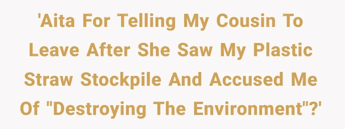 'AITA for telling my cousin to leave after she saw my plastic straw stockpile and accused me of "destroying the environment"?'