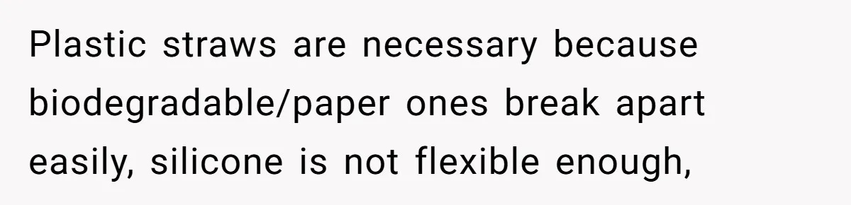 Plastic straws are necessary because biodegradable/paper ones break apart easily, silicone is not flexible enough,