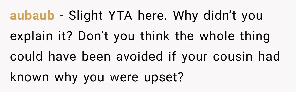 aubaub − Slight YTA here. Why didn’t you explain it? Don’t you think the whole thing could have been avoided if your cousin had known why you were upset?