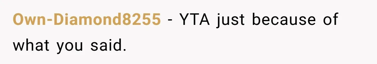 Own-Diamond8255 − YTA just because of what you said.