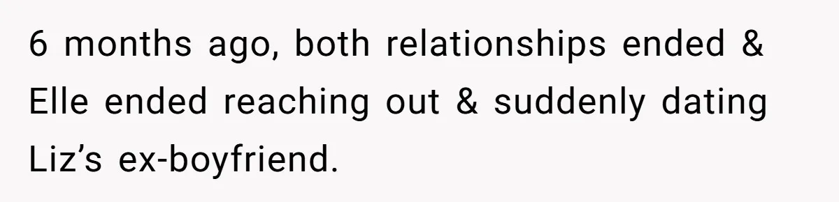6 months ago, both relationships ended & Elle ended reaching out & suddenly dating Liz’s ex-boyfriend.