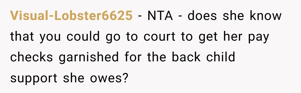 Visual-Lobster6625 − NTA - does she know that you could go to court to get her pay checks garnished for the back child support she owes?