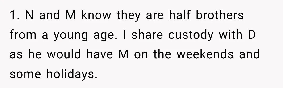 1. N and M know they are half brothers from a young age. I share custody with D as he would have M on the weekends and some holidays.