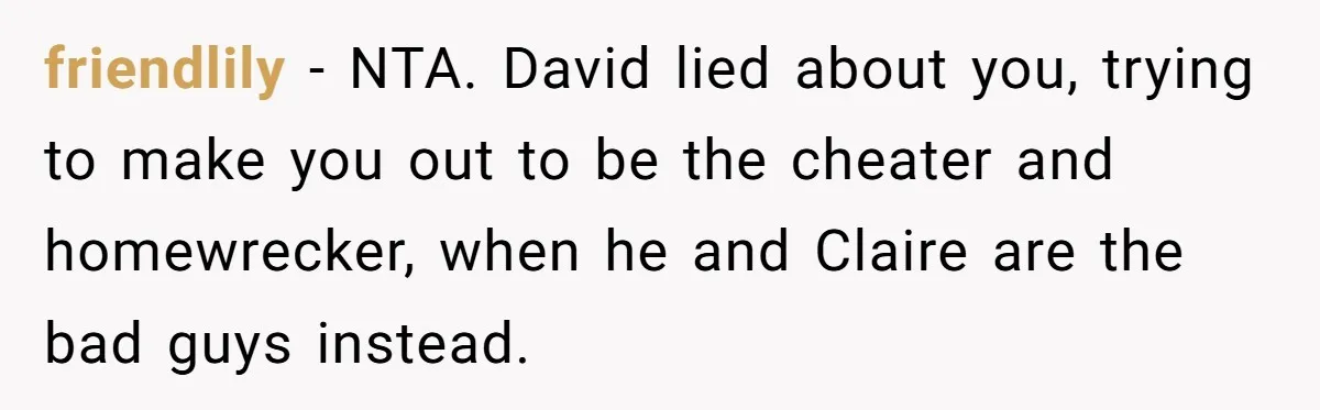 friendlily − NTA. David lied about you, trying to make you out to be the cheater and homewrecker, when he and Claire are the bad guys instead.