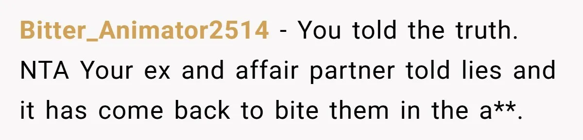 Bitter_Animator2514 − You told the truth. NTA Your ex and affair partner told lies and it has come back to bite them in the a**.