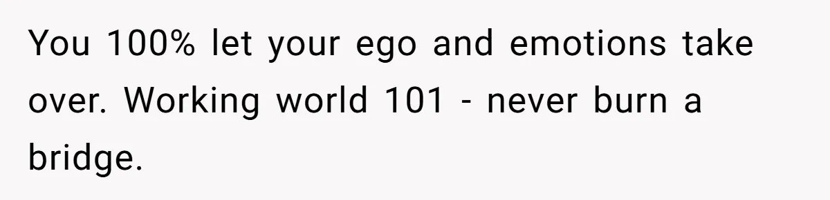You 100% let your ego and emotions take over. Working world 101 - never burn a bridge.