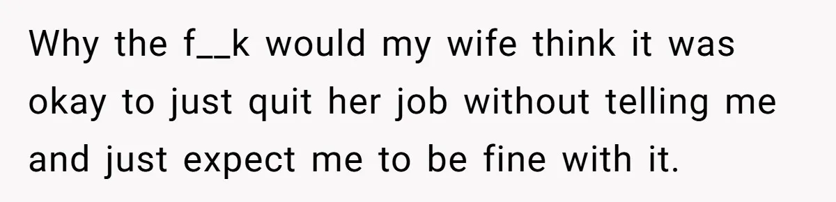 Why the f__k would my wife think it was okay to just quit her job without telling me and just expect me to be fine with it.