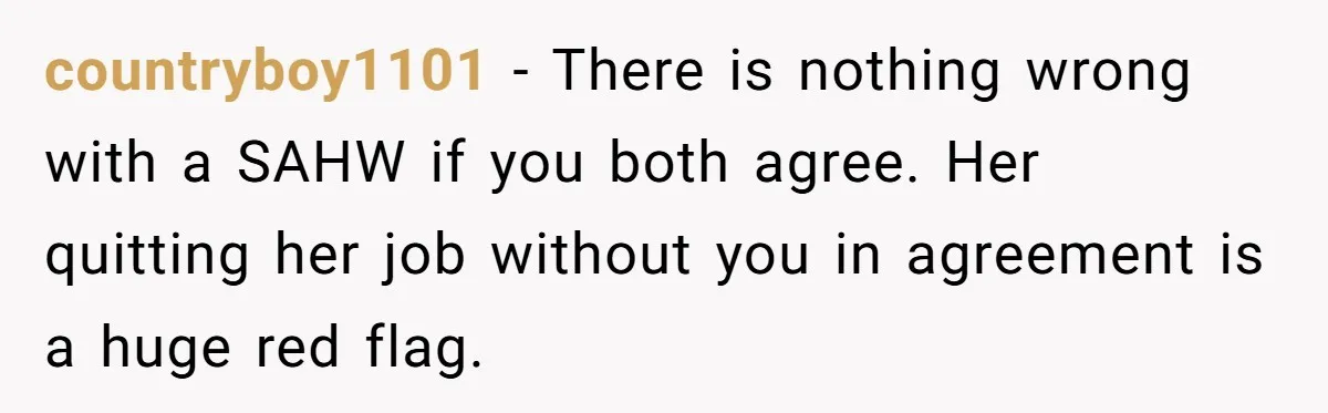 countryboy1101 − There is nothing wrong with a SAHW if you both agree. Her quitting her job without you in agreement is a huge red flag.