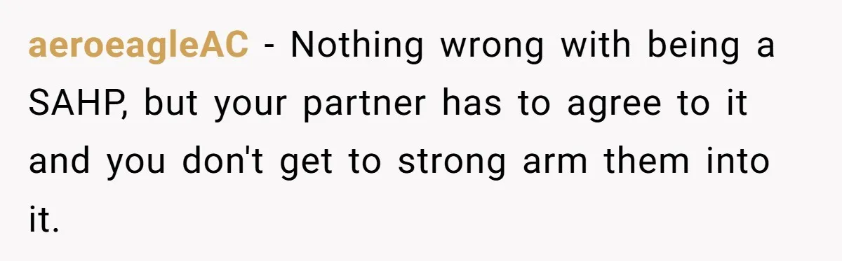 aeroeagleAC − Nothing wrong with being a SAHP, but your partner has to agree to it and you don't get to strong arm them into it.