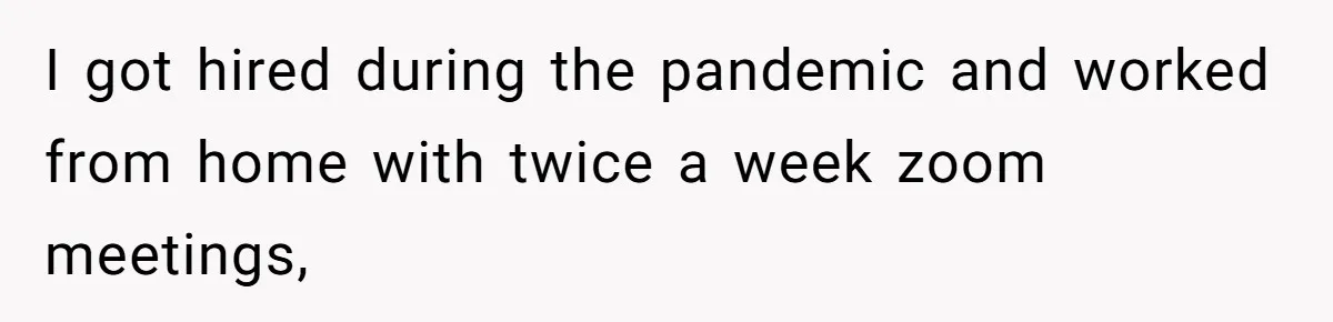 I got hired during the pandemic and worked from home with twice a week zoom meetings,