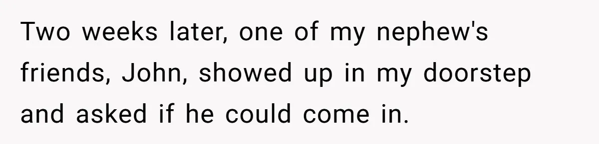 Two weeks later, one of my nephew's friends, John, showed up in my doorstep and asked if he could come in.