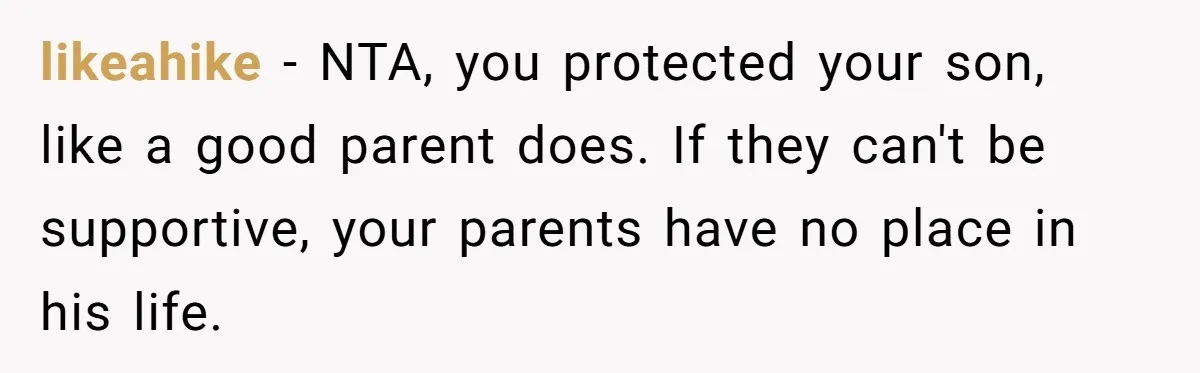 likeahike − NTA, you protected your son, like a good parent does. If they can't be supportive, your parents have no place in his life.