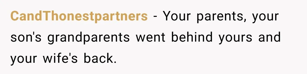 CandThonestpartners − Your parents, your son's grandparents went behind yours and your wife's back.