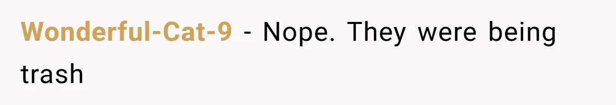 Wonderful-Cat-9 − Nope. They were being trash