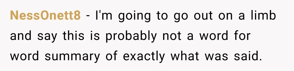 NessOnett8 − I'm going to go out on a limb and say this is probably not a word for word summary of exactly what was said.