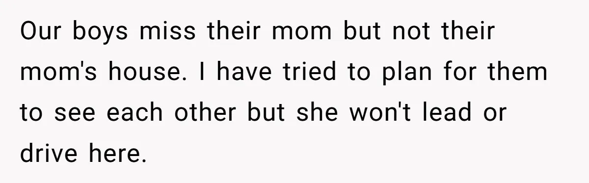 Our boys miss their mom but not their mom's house. I have tried to plan for them to see each other but she won't lead or drive here.