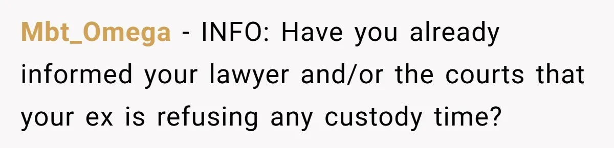 Mbt_Omega − INFO: Have you already informed your lawyer and/or the courts that your ex is refusing any custody time?