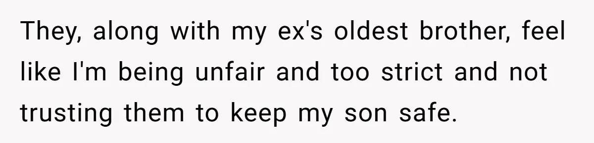 They, along with my ex's oldest brother, feel like I'm being unfair and too strict and not trusting them to keep my son safe.