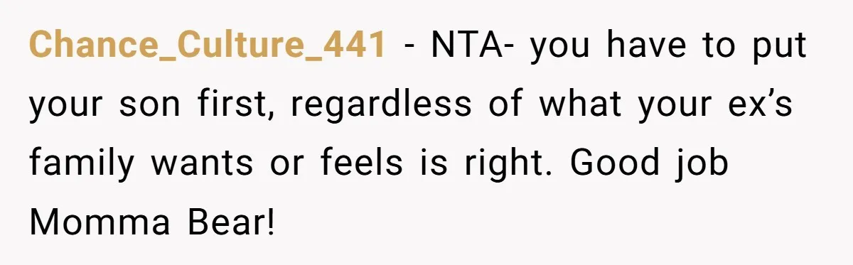 Chance_Culture_441 − NTA- you have to put your son first, regardless of what your ex’s family wants or feels is right. Good job Momma Bear!
