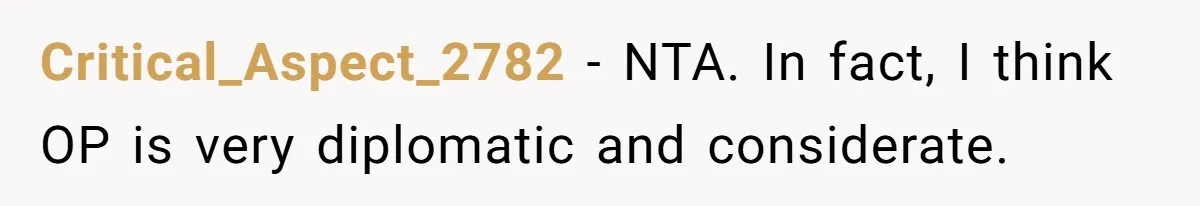 Critical_Aspect_2782 − NTA. In fact, I think OP is very diplomatic and considerate.
