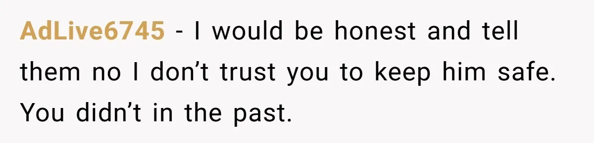 AdLive6745 − I would be honest and tell them no I don’t trust you to keep him safe. You didn’t in the past.