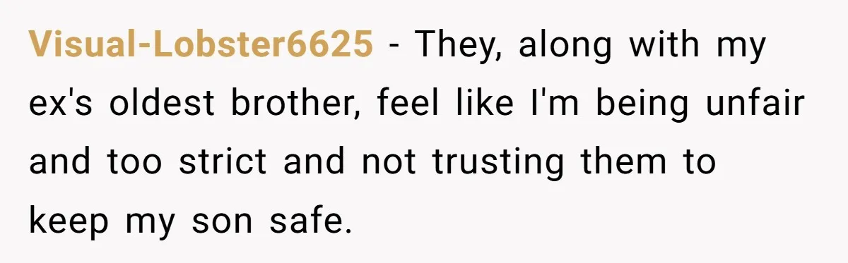 Visual-Lobster6625 − They, along with my ex's oldest brother, feel like I'm being unfair and too strict and not trusting them to keep my son safe.