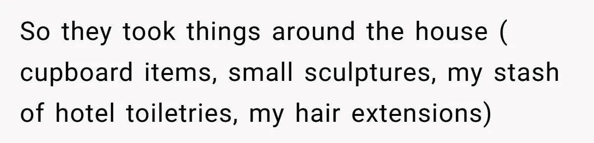 So they took things around the house ( cupboard items, small sculptures, my stash of hotel toiletries, my hair extensions)