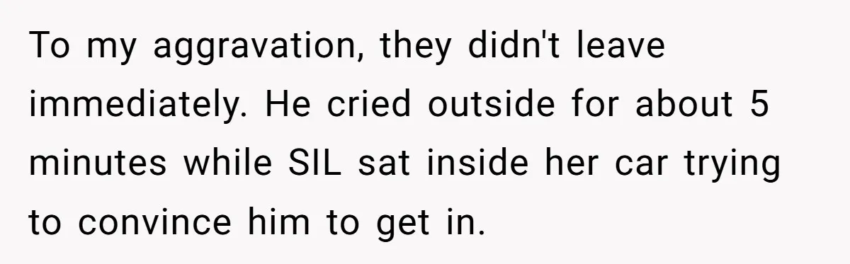 To my aggravation, they didn't leave immediately. He cried outside for about 5 minutes while SIL sat inside her car trying to convince him to get in.