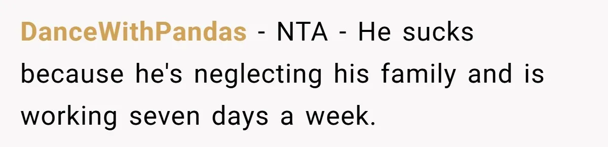 DanceWithPandas − NTA - He sucks because he's neglecting his family and is working seven days a week.