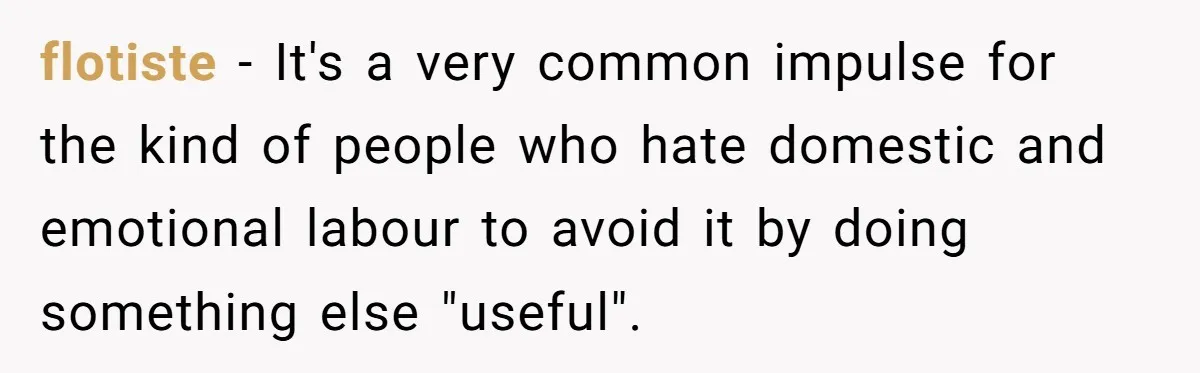 flotiste − It's a very common impulse for the kind of people who hate domestic and emotional labour to avoid it by doing something else "useful".