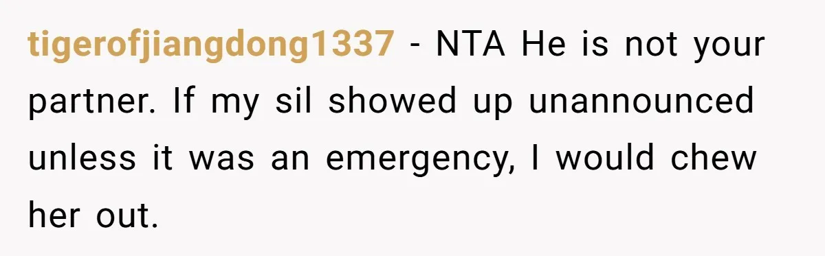 tigerofjiangdong1337 − NTA He is not your partner. If my sil showed up unannounced unless it was an emergency, I would chew her out.
