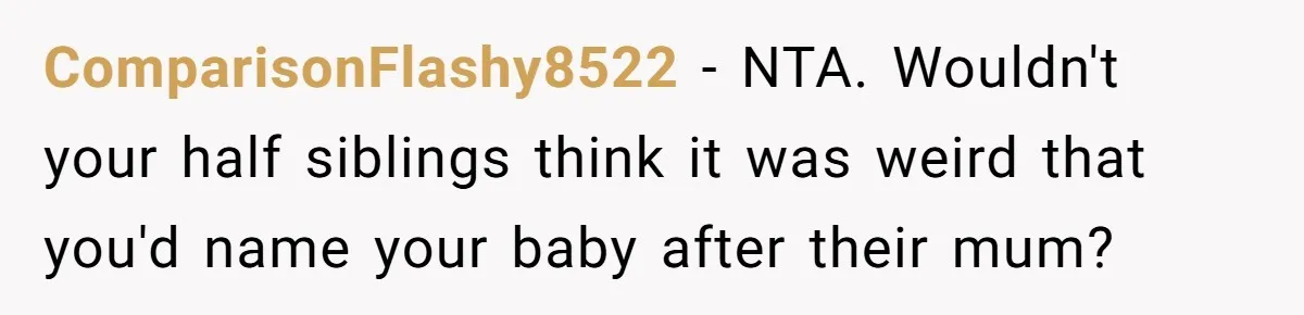 ComparisonFlashy8522 − NTA. Wouldn't your half siblings think it was weird that you'd name your baby after their mum?