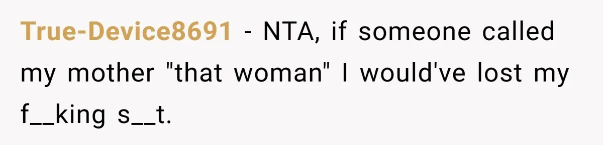 True-Device8691 − NTA, if someone called my mother "that woman" I would've lost my f__king s__t.